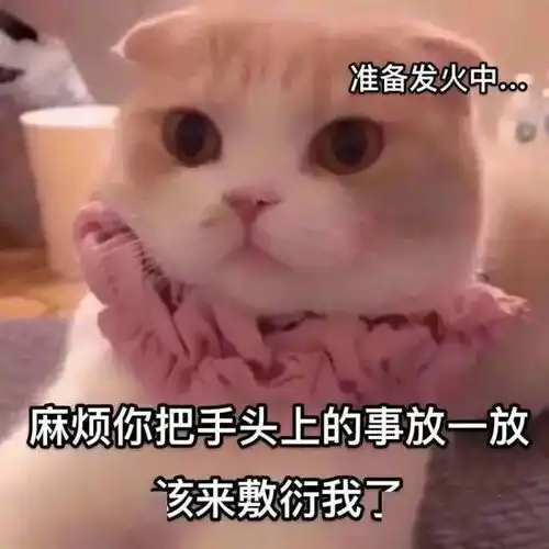  适合发给自己家狗子的表情包
