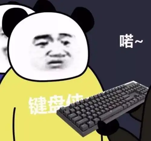 不方便打字的话可以视频表情包打工