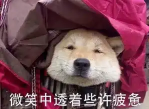  十条笑话现在的年轻人就知道玩手机,整天活在虚拟的世界中