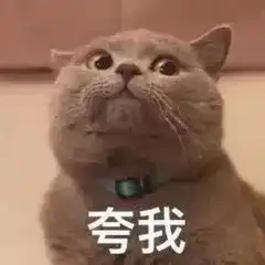  翻译学习招募2020年译国译民英语寒假在线实习冬令营开营啦
