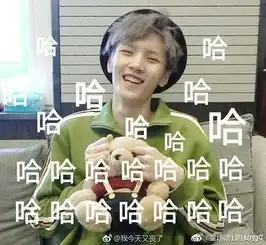  我手机里的表情包们和安利图片