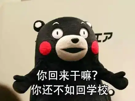  表情包你回来干嘛你还不如回学校