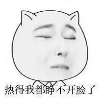 猥琐猫人脸高清大表情