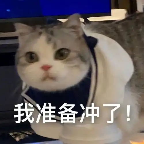 捏脸说爱我表情包小猫