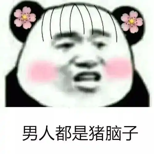 藏在博物馆里的笨猪猪