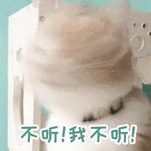  请问有没有超级萌的猫咪表情包