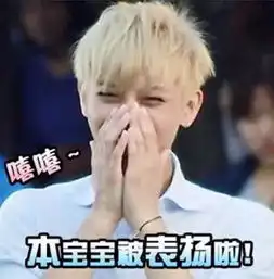  新晋地主家的傻儿子黄子韬,了解一下