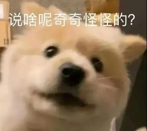  表情包有趣好玩的表情包