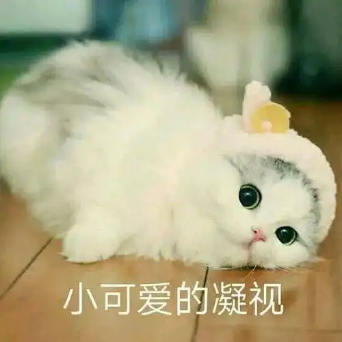  双排吃鸡的时候有什么甜甜的话,可以撩小哥哥呢