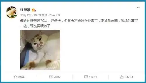 求小饼干表情包大全楼楼