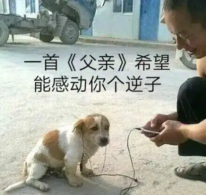 豚鼠特工队表情包滞空
