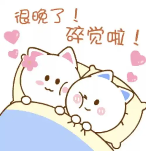  520自救计划探究研究生的你还在单身的影响因素