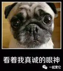  省钱就是硬道理快来给宠宝领福利啦