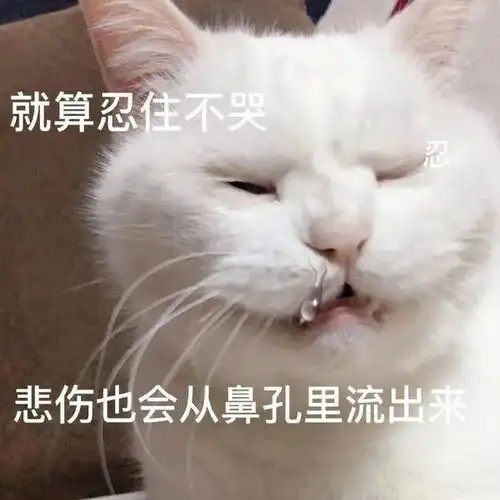  出来吧,我老公走了第867期表情包