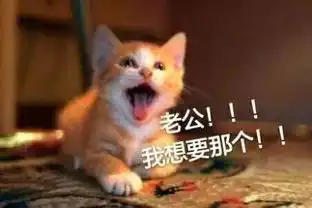  老公老婆表情包系列