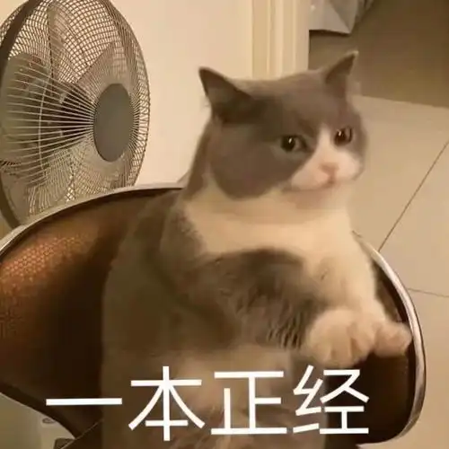  第83期聊天斗图必备表情包