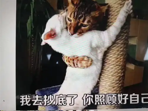  惊奇信不信由你了,反正俺不信也买了真要涨起来这货没谱的