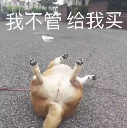  万能斗图表情包,快来收图