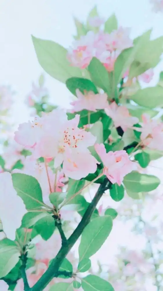  发朋友圈会被秒赞的小句子,精致有内涵,句句倾心