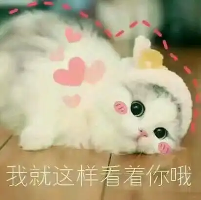 又皮又可爱的小句子 又皮又可爱的小句子