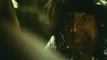 东邪西毒 东邪西毒