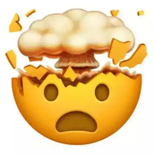  快来hold住你的专属大猫