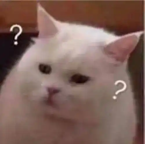 第68期喵表情内有69只萌猫,谨慎进入 第68期喵表情内有69只萌猫,谨慎进入