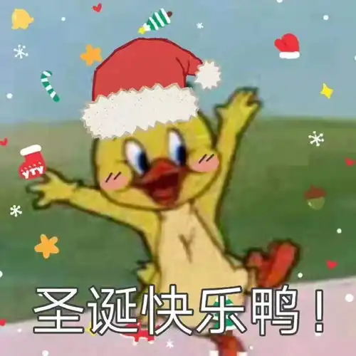  眼睫毛假睫毛小伙儿记