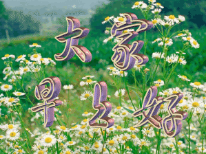  生,失去的只是时间,你所获得的是价值是永恒,早安