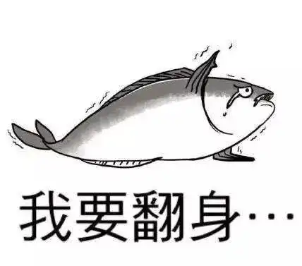 14.8万浙江一条大黄鱼卖出轿车价,一口就是一部苹果8渔业专家却说...网友能长生不老吗 14.8万浙江一条大黄鱼卖出轿车价,一口就是一部苹果8渔业专家却说...网友能长生不老吗