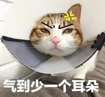  驱虫专场从不出门的猫也会有寄生虫这是真的