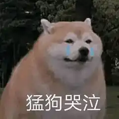  这届小朋友有多可爱