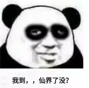  修仙表情包不睡觉修仙表情包黑眼圈熊猫修仙表情包
