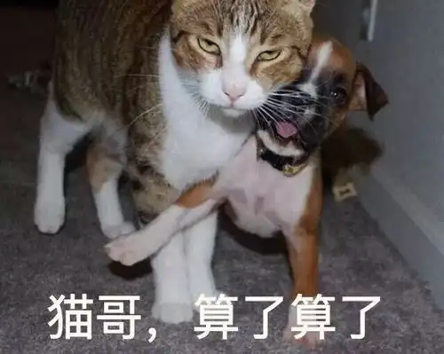  50个沙雕表情包来了,快来收图,少年,你渴望力量么
