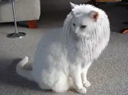  动物们难得一见的囧表情