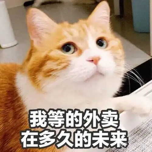  你们有没有什么能代替聊天使用的表情包