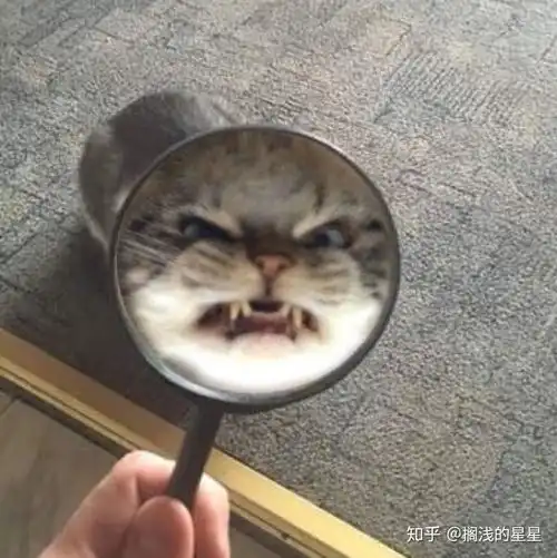 搞笑表情包图片大全集情