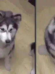  搞笑趣图每天带领大家一笑