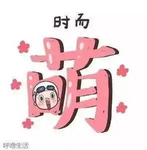  洪荒少女来袭女监新警第一弹