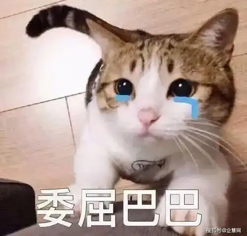  长租公寓频频暴雷租客无家可归