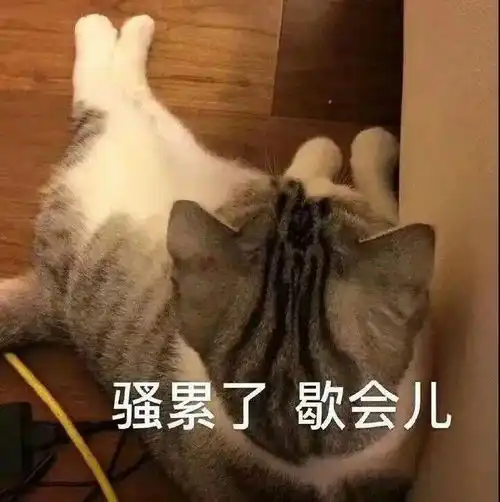  聊天的沙雕表情包又增加了,让我看看谁没存