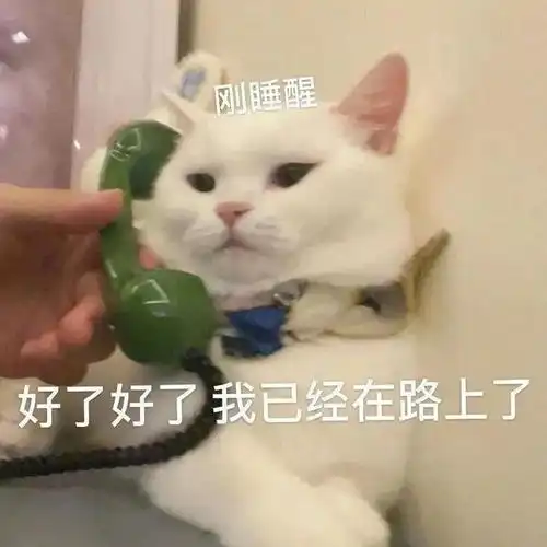  表情包淡淡的温柔的却格外明亮