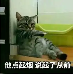 加菲猫表情包小视频掀被