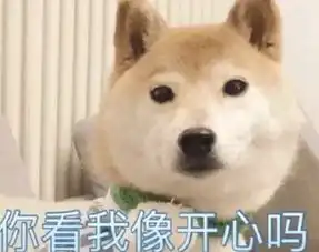  你看我像开心吗表情包大全