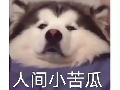 好尴尬啊表情包小苦瓜