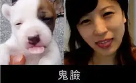  吐槽图片