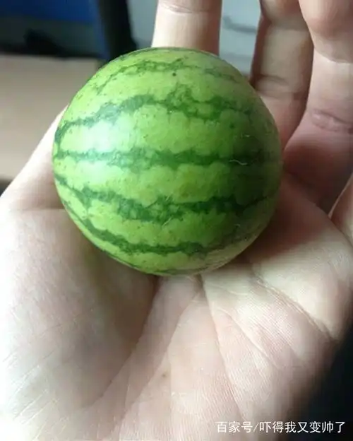  开心一刻笑话毕业后上班,买了个八成新的自行车代步