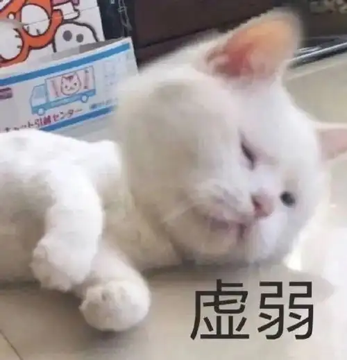  沙雕搞笑表情包