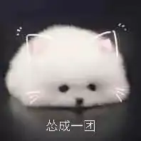  情侣对骂表情包小声bb......