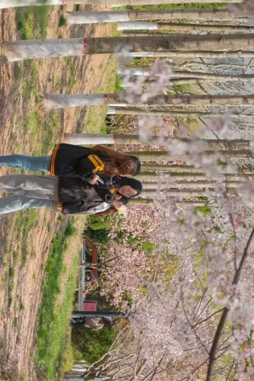  都初夏了,石大美景还不装包